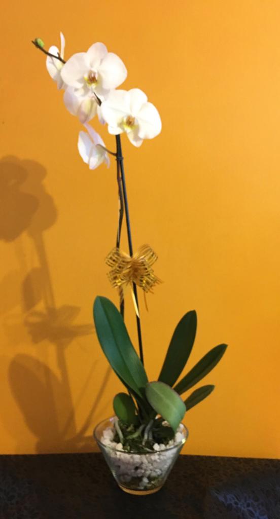 1 Orquidea Arreglo floral