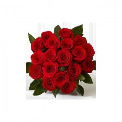 18rosas