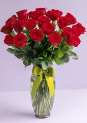 fllorero24rosas