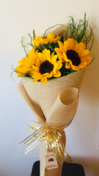 girasoles4