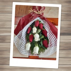 ramo10RBYR